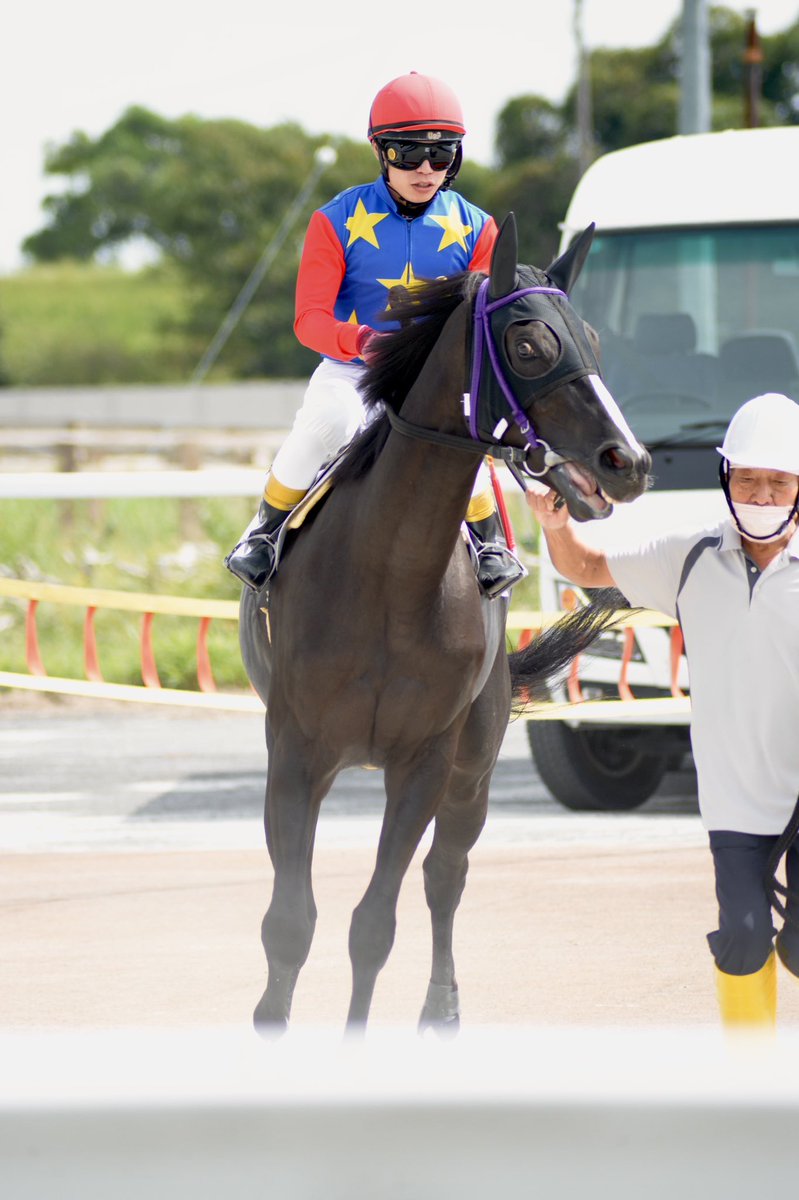 shelliemaxxna's tweet photo. 2026年9月25日 笠松競馬場 3R
アオラキ杯
ナイア②
ゴールドシップ産駒
伊藤勝好厩舎
赤津和希騎手

騎手が乗ったら目付きがキリッしたナイア。怪我なくゴールしますようにと祈りながら見てました。ナイア可愛い🥲 https://t.co/TGAxJ5oQcT