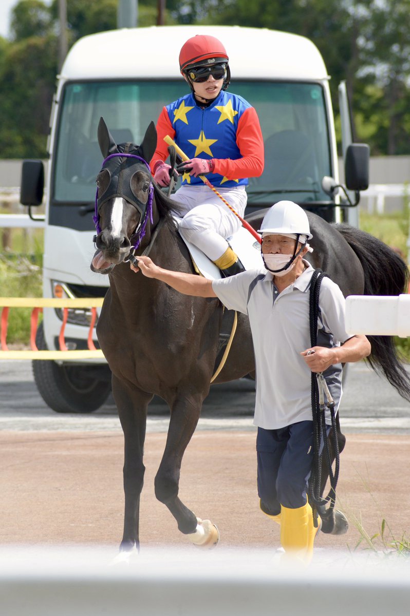 shelliemaxxna's tweet photo. 2026年9月25日 笠松競馬場 3R
アオラキ杯
ナイア②
ゴールドシップ産駒
伊藤勝好厩舎
赤津和希騎手

騎手が乗ったら目付きがキリッしたナイア。怪我なくゴールしますようにと祈りながら見てました。ナイア可愛い🥲 https://t.co/TGAxJ5oQcT