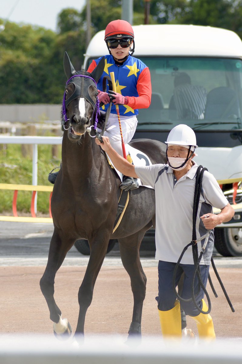 shelliemaxxna's tweet photo. 2026年9月25日 笠松競馬場 3R
アオラキ杯
ナイア②
ゴールドシップ産駒
伊藤勝好厩舎
赤津和希騎手

騎手が乗ったら目付きがキリッしたナイア。怪我なくゴールしますようにと祈りながら見てました。ナイア可愛い🥲 https://t.co/TGAxJ5oQcT