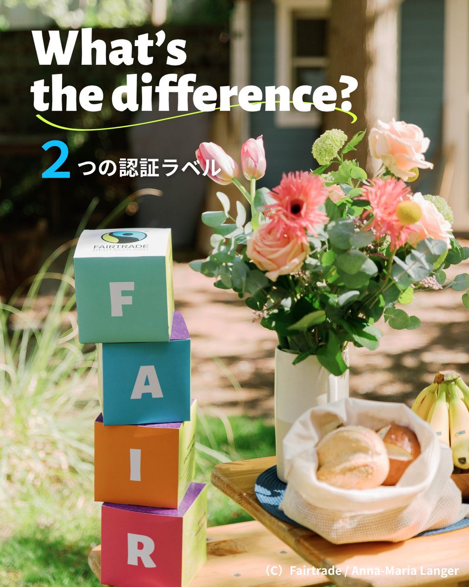fljp's tweet photo. ＼黒いラベルと白いラベル、何が違う？／
前回は、フェアトレードには2つのラベルがあることをご紹介しました。
今回は、もう少し詳しくご紹介します👀

🖤 国際フェアトレード認証ラベル
製品の中で、フェアトレードで調達できる原料をすべてフェアトレードにしていることを示すラベル。
コーヒーやバナナなどの単一原料の商品や、チョコレートなどの複数原料の商品にも付いています。

🤍 国際フェアトレード原料調達（FSI）ラベル
製品に使われている原料のうち、特定の原料だけをフェアトレード調達していることを示すラベル。
たとえば、チョコレートの「カカオだけ」など、タブに記載された原料がフェアトレード調達されています。
「全部じゃないの？」と感じるかもしれませんが、実はこの白マークのおかげで、たくさんの企業がフェアトレードに参加しやすくなりました✨
結果として、開発途上国の生産者さんから買える原料の量が大きく増えています！
商品を手に取ったときは、ぜひラベルの違いにも注目してみてください！
#フェアトレード #Fairtrade #国際フェアトレード認証ラベル #FSIラベル