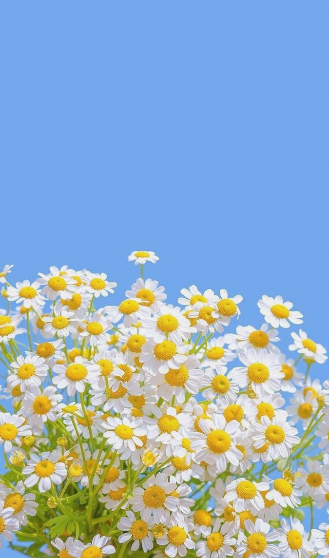 MarcSteeveny's tweet photo. 原神バグまみれで草も生えない
おま環か？ https://t.co/w8rm9EuVGg