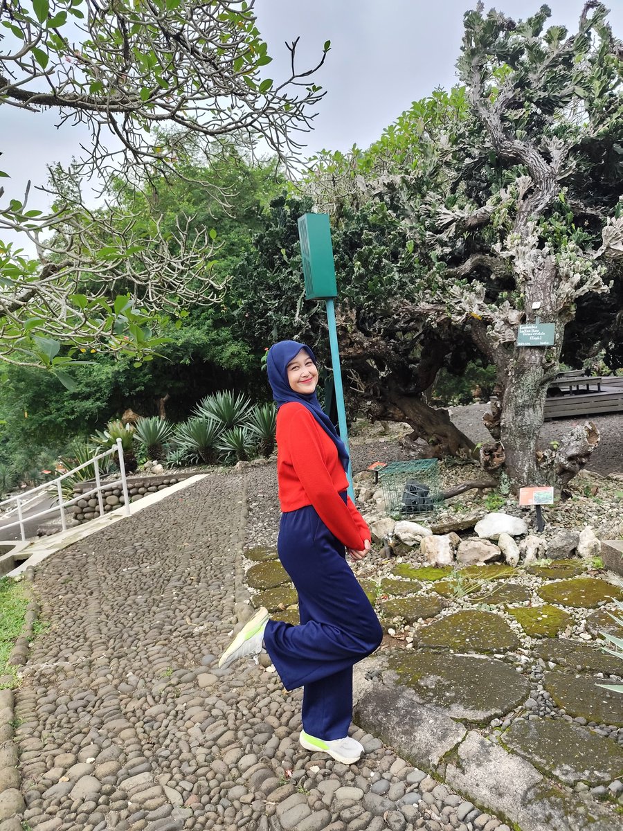 elizabethhallcc's tweet photo. Just a girl lost in the greenery. https://t.co/zblmGNpqQg