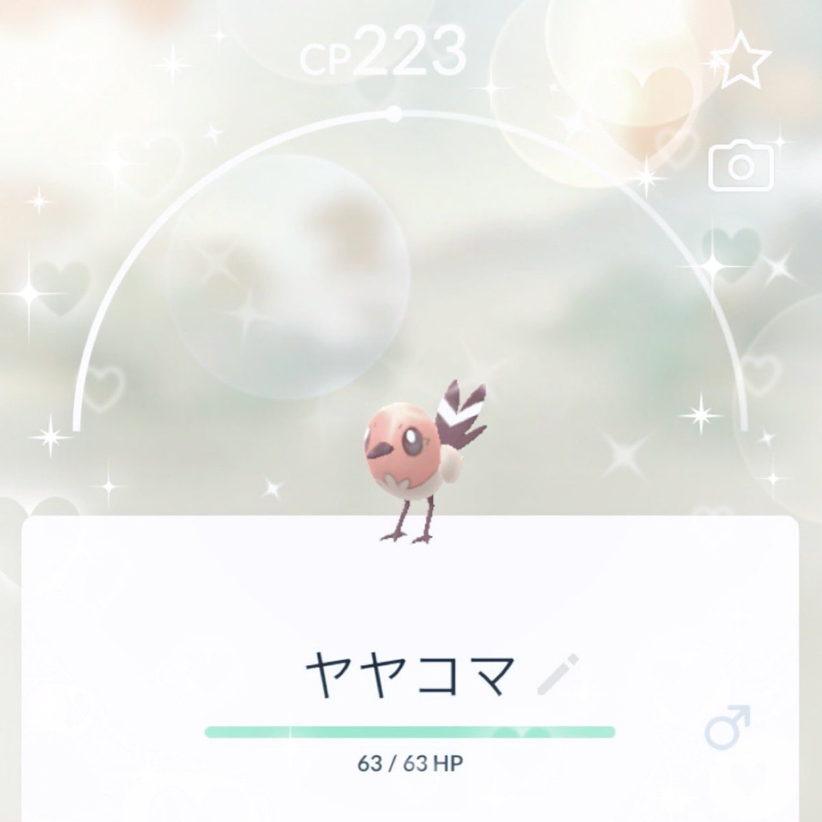 nonnoncha_0717's tweet photo. ヤヤコマの色違いげっと~՞ɞ̴̶̷̥⩊ɞ̴̶̷̥꒱֯♡ https://t.co/9WYmHzZElp