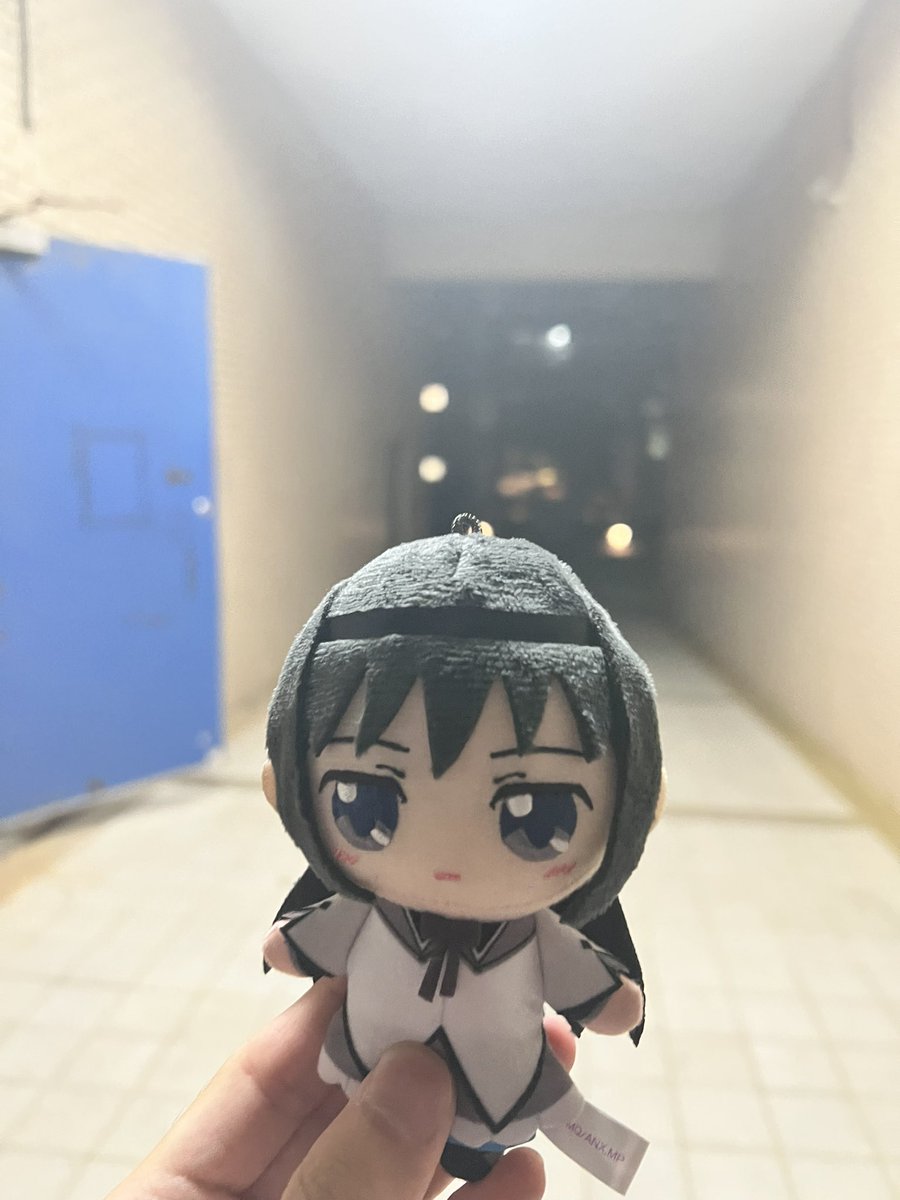 zyc050513's tweet photo. ほむほむ来た https://t.co/ukUp6sUjIA
