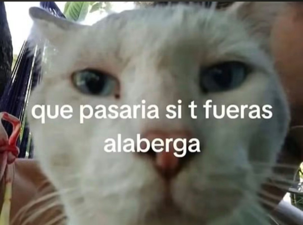 tecito_floral's tweet photo. ya wey deja de aparecerte en mis sueños no hay ni un día q no te esté soñando y no te extraño, bueno a veces https://t.co/UUMhEBPNQI