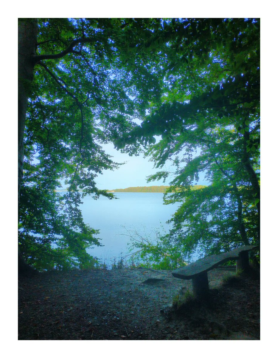 oliviamitcdgn5's tweet photo. @NolaStokesju7 Evening spot in Southern Jutland. https://t.co/8lo6RISveR