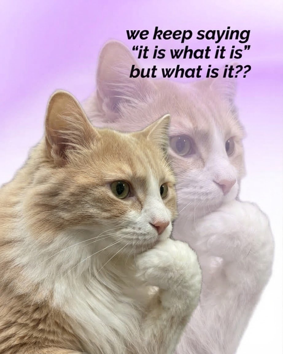 sillymeow4u's tweet photo. https://t.co/4oH7vqL5Mo