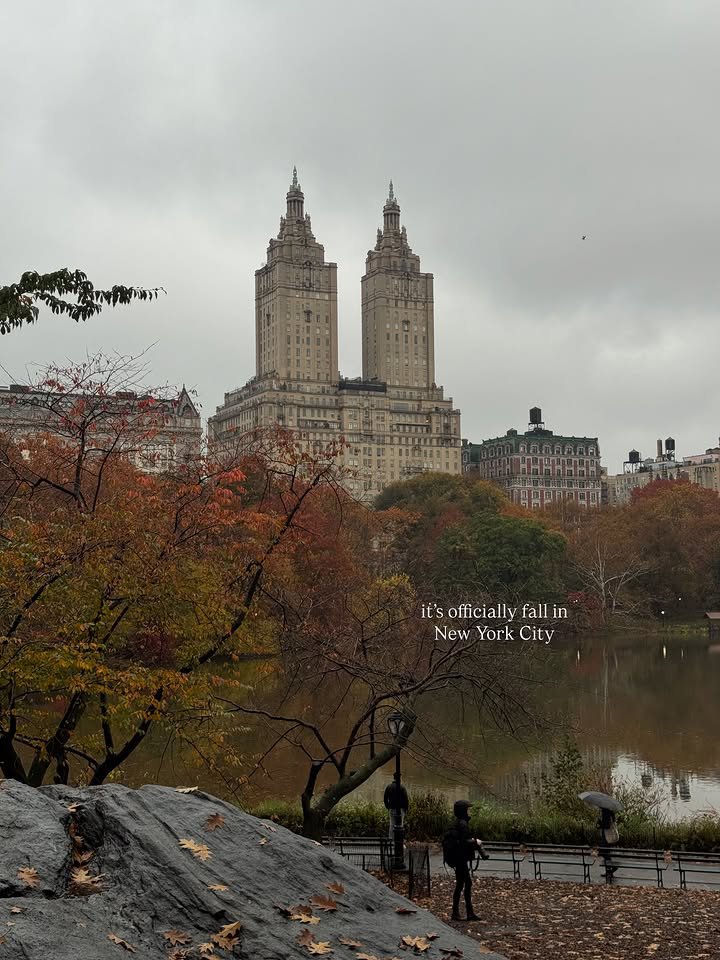Business660608's tweet photo. Autumn in New York 🍁🍂 https://t.co/zGTS1rbOJF