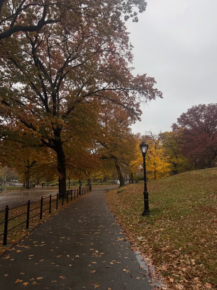 Business660608's tweet photo. Autumn in New York 🍁🍂 https://t.co/zGTS1rbOJF