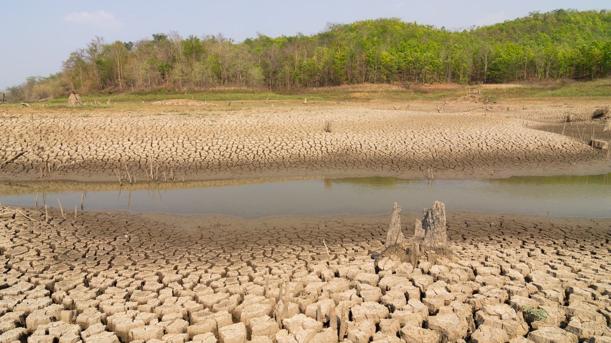 DanielBurrus's tweet photo. A Colorado River water cut won’t stop at the farm gate. It could affect what gets planted, what growers pay, and what shows up on grocery shelves. 

I spoke with The Food Institute about the pressure ahead and where precision agriculture can help: https://t.co/3YFLcstuvl https://t.co/nP7KsXm4lx