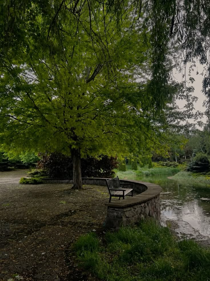 greenvibe's tweet photo. Rainy weather kind of reflects me. https://t.co/Xpt7jNtLLh
