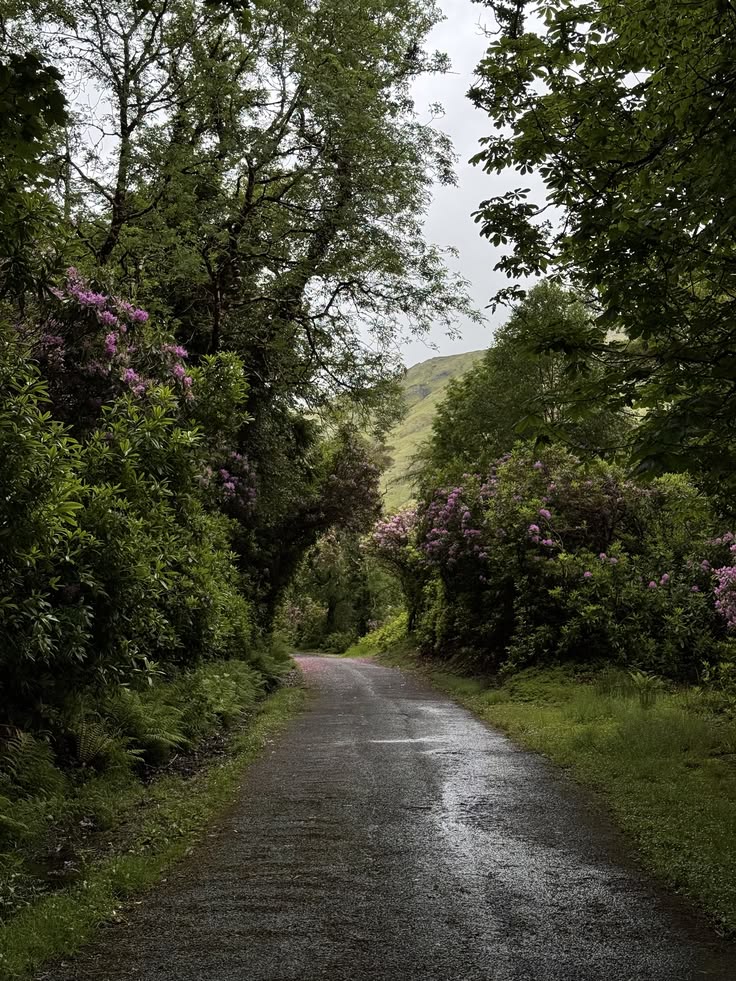 greenvibe's tweet photo. Rainy weather kind of reflects me. https://t.co/Xpt7jNtLLh
