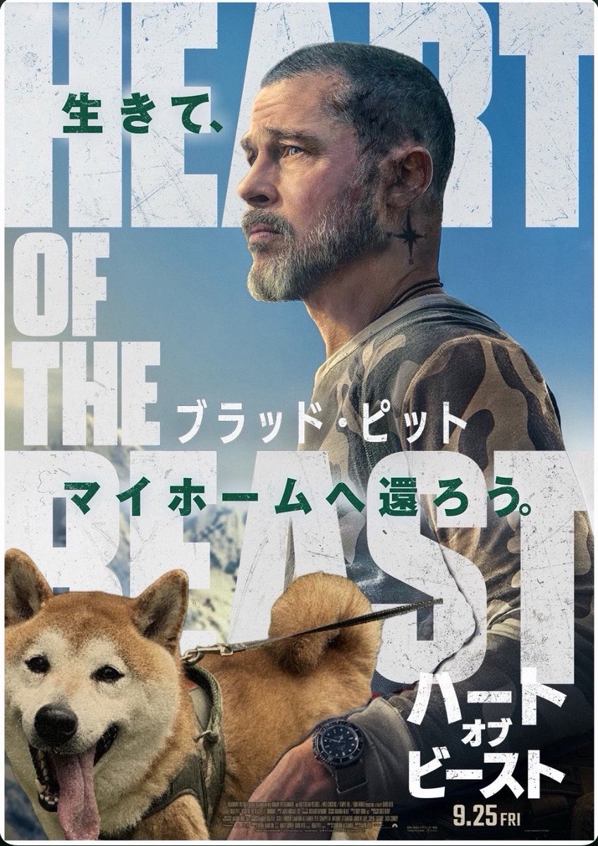 mayoneedko's tweet photo. #ハートオブビースト 
#ブラピとウチのわんちゃんキャンペーン
我が家の柴犬と https://t.co/qpak3VFKyh
