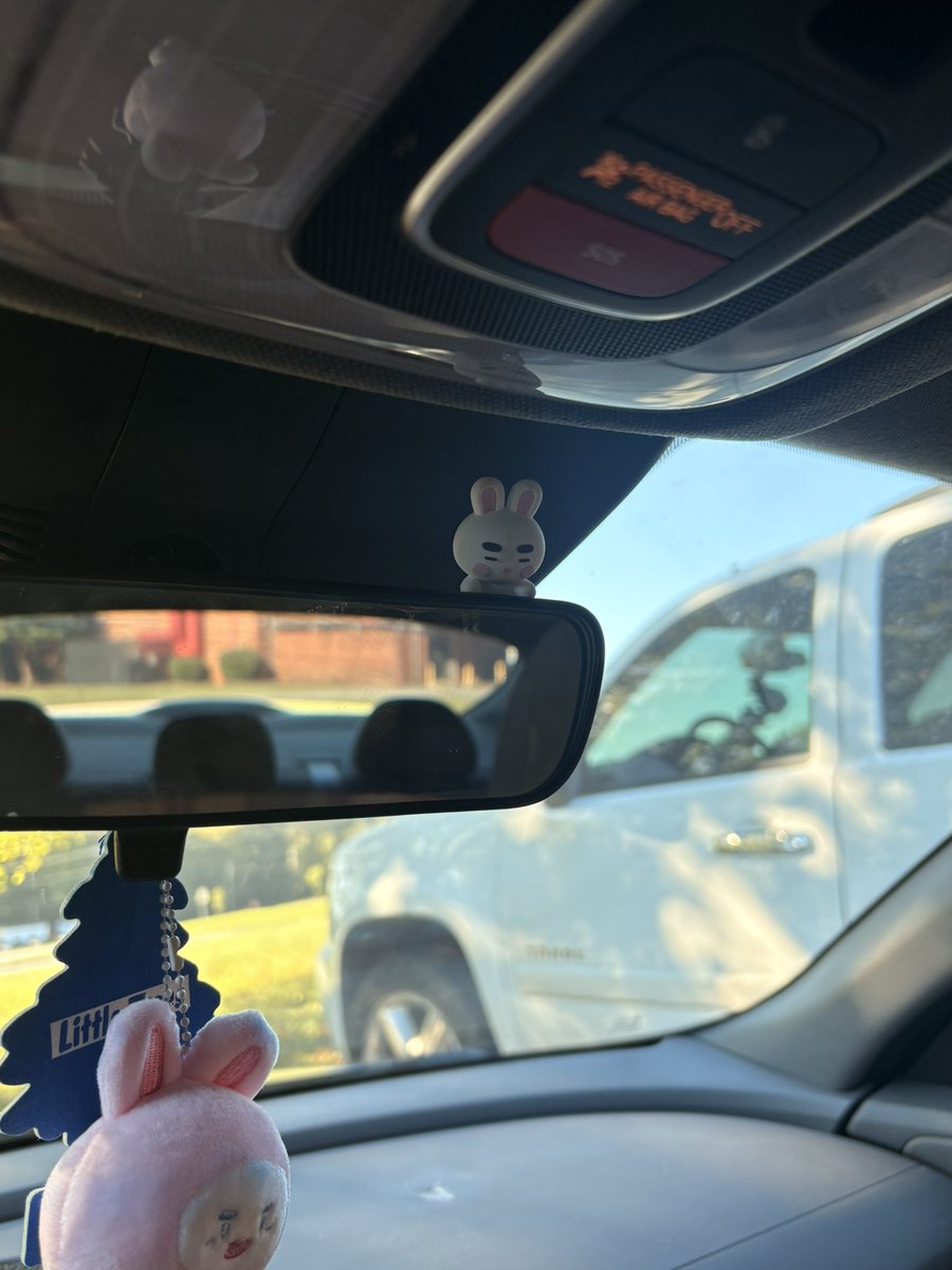 hyodubb's tweet photo. new driving buddy :) https://t.co/6KUzVbuowq
