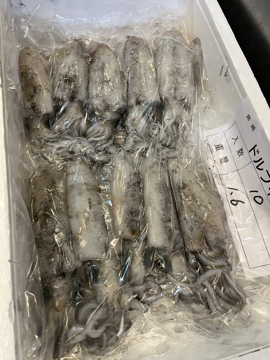 wasuke_yoko's tweet photo. 今日の上越漁協の魚たちは？
イカ🦑タコ🐙鎧イタチウオ
ヒラマサなどなどでした♪
今日のお客様も大変喜んでいただきました。
ありがとうございます。 https://t.co/lBKFjp73R2