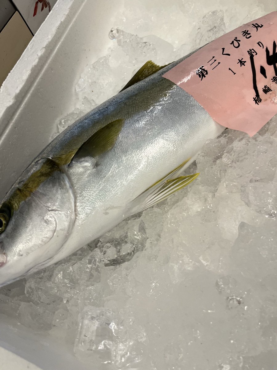 wasuke_yoko's tweet photo. 今日の上越漁協の魚たちは？
イカ🦑タコ🐙鎧イタチウオ
ヒラマサなどなどでした♪
今日のお客様も大変喜んでいただきました。
ありがとうございます。 https://t.co/lBKFjp73R2