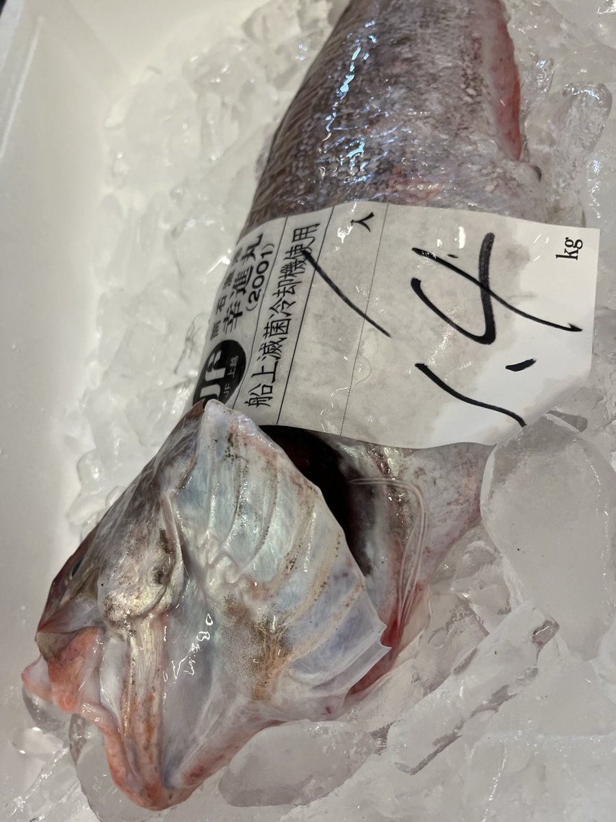 wasuke_yoko's tweet photo. 今日の上越漁協の魚たちは？
イカ🦑タコ🐙鎧イタチウオ
ヒラマサなどなどでした♪
今日のお客様も大変喜んでいただきました。
ありがとうございます。 https://t.co/lBKFjp73R2