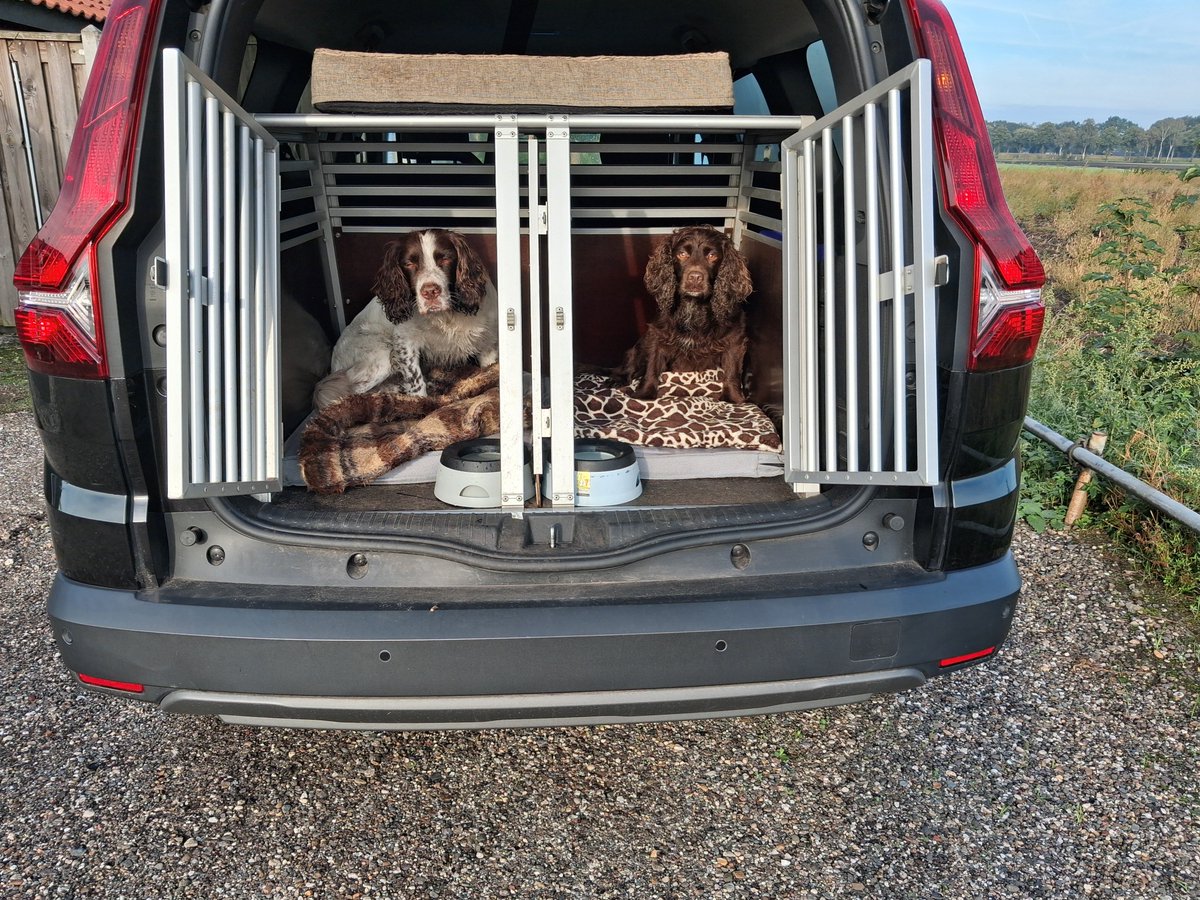 KeesTingeling's tweet photo. Klaar voor vertrek #WorkingCockerSpaniels #Kes #Otter https://t.co/Az6JTYfpmQ