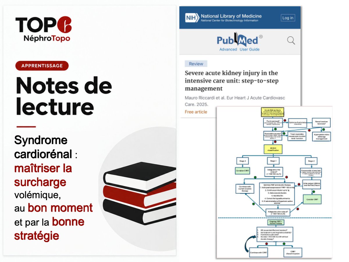nephrotopo's tweet photo. 💥 Syndrome cardiorénal : maîtriser la surcharge volémique au bon moment et par la bonne stratégie
#nephrotop #NotesDeLecture #LCA #Lecture #Foamed
👇 https://t.co/xk3V4egUuy