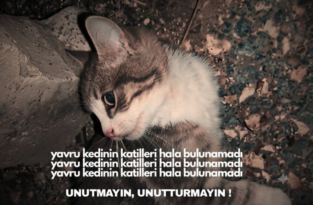 salimolcay's tweet photo. "Bu düzen size insanlığınızı unutturacak"

[Edip Cansever]

Unutmayanlardan olmak için; 

#miniğiunutma https://t.co/q0xzFDpbAz