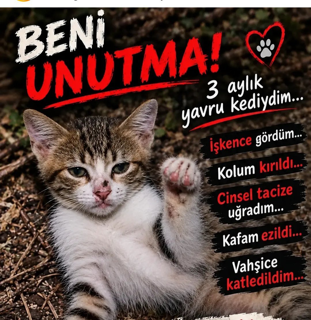 salimolcay's tweet photo. "Bu düzen size insanlığınızı unutturacak"

[Edip Cansever]

Unutmayanlardan olmak için; 

#miniğiunutma https://t.co/q0xzFDpbAz