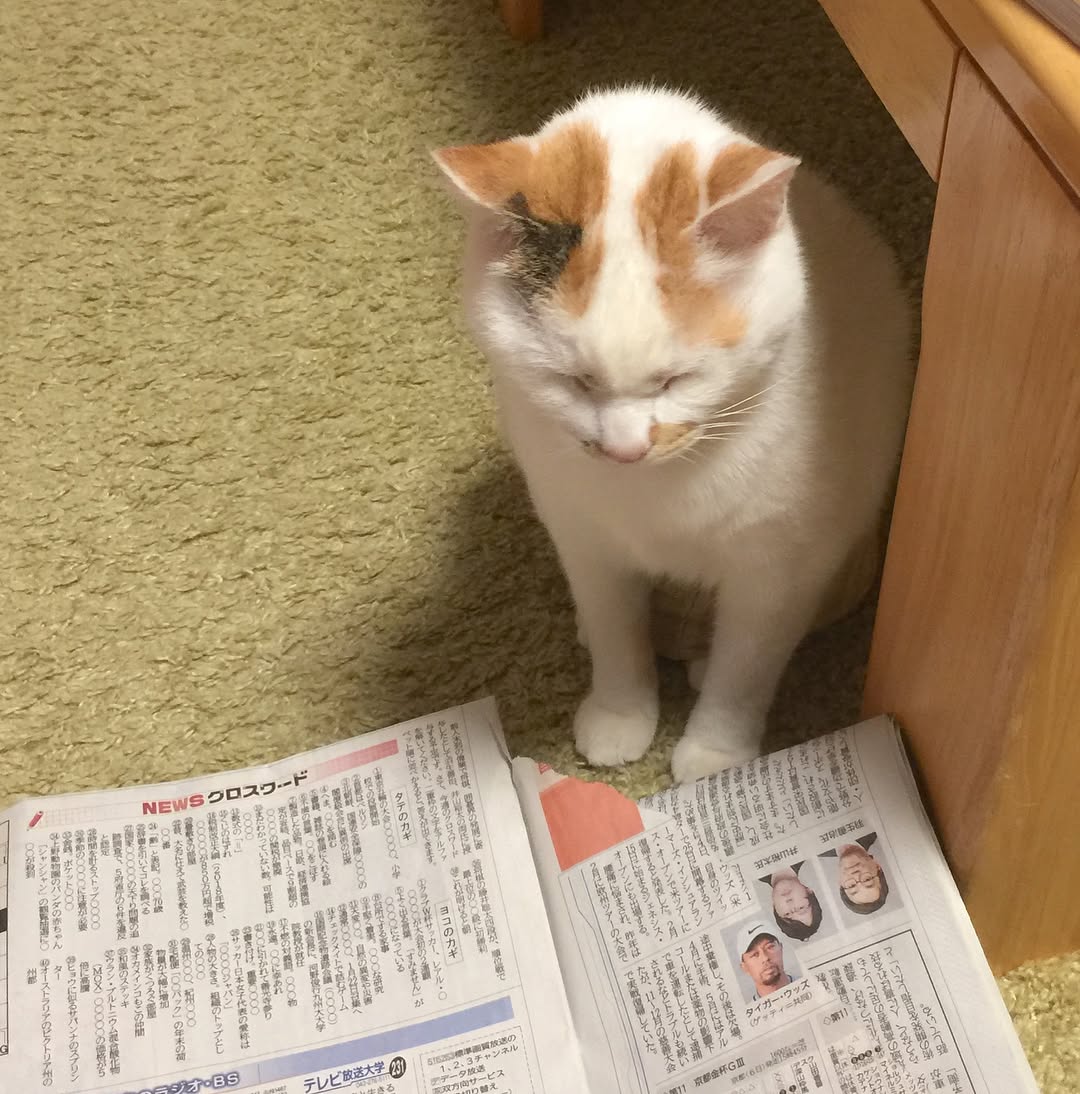 MarxIberg58's tweet photo. なんだか最近、自分の感性が鈍っている気がして不安です。皆さんは、日常の中で「心揺さぶられる瞬間」をどうやって見つけていますか。 https://t.co/5AoUmxmhEi