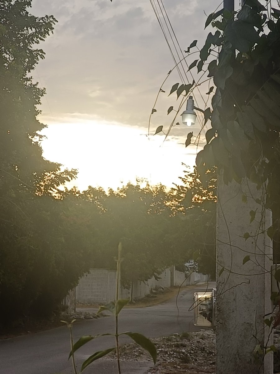MrP_325's tweet photo. Solo otro bello amanecer en mi linda tierra natal https://t.co/1MzLu7vqYf
