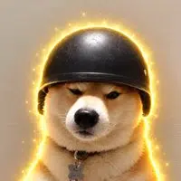 LeeDG_GF's tweet photo. Can viral dogwifhelmet

gamble risk : solana:6amZDV2TFYF6Qj6RGKE6FPedNLyVgVtmkX9iMDDrpump 

6amZDV2TFYF6Qj6RGKE6FPedNLyVgVtmkX9iMDDrpump https://t.co/6JeZA67YIj