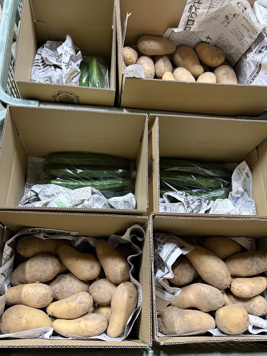 sudako831's tweet photo. 今日はメークイン🥔ときゅうり🥒の発送作業をしました！

たくさんのご注文、本当にありがとうございます。皆さんの食卓を思い浮かべながら、ひとつひとつ準備しました☺️

おいしく食べていただけますように🌱

https://t.co/mYbsNUJE8x

https://t.co/Og5MkHyFp1 https://t.co/g47ZGc8DSI