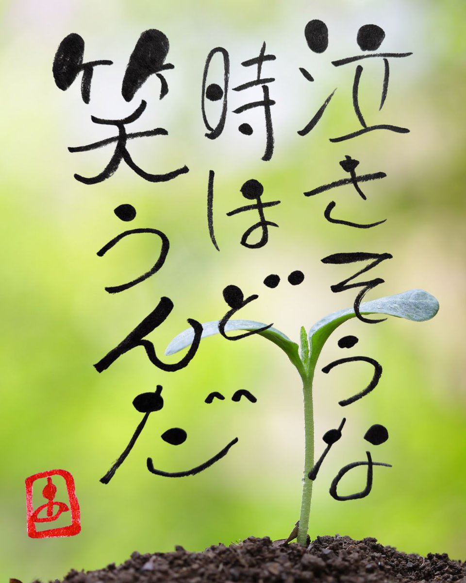 TakigawaAzuki12's tweet photo. 思いがけず、明日から無職だ。
不安もある。泣きたくなる日もある。
でも、せっかく自由を手に入れるんだから、
今までできなかったことをやってみたい。

泣きそうな時ほど笑ってみる。
人生、何が起こるかなんて分からない。
だったら、この状況も楽しもう！

#心の休息 #人生 #独り言 https://t.co/5682IZTeKZ