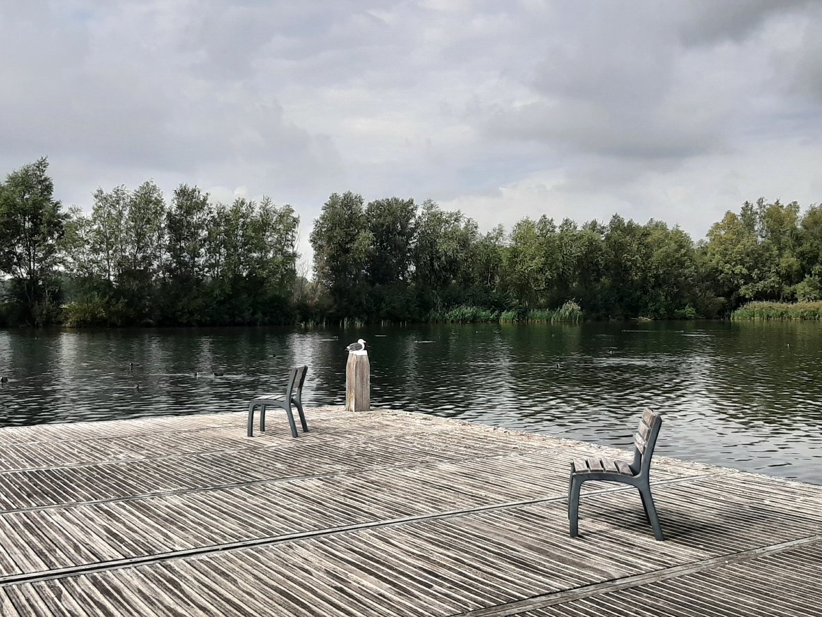 MEKloppenburg's tweet photo. #Zevenhuizerplas . Ik zag iemand op een #foilboard . Zodra er water langs de staart stroomt, komt de plank uit het water. Je moet zelf de snelheid erin houden door squats te maken. Hierdoor stuwt de vleugel zichzelf vooruit. Zijn record is 2 minuten. Fijne maandag! #dockstarten https://t.co/GlnlIQBt9S