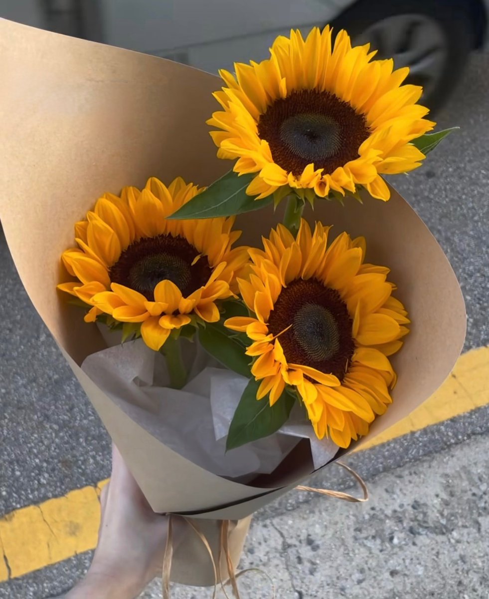 sunflowerchives's tweet photo. Would you choose this bouquet or money? https://t.co/Hg1osW4uSZ