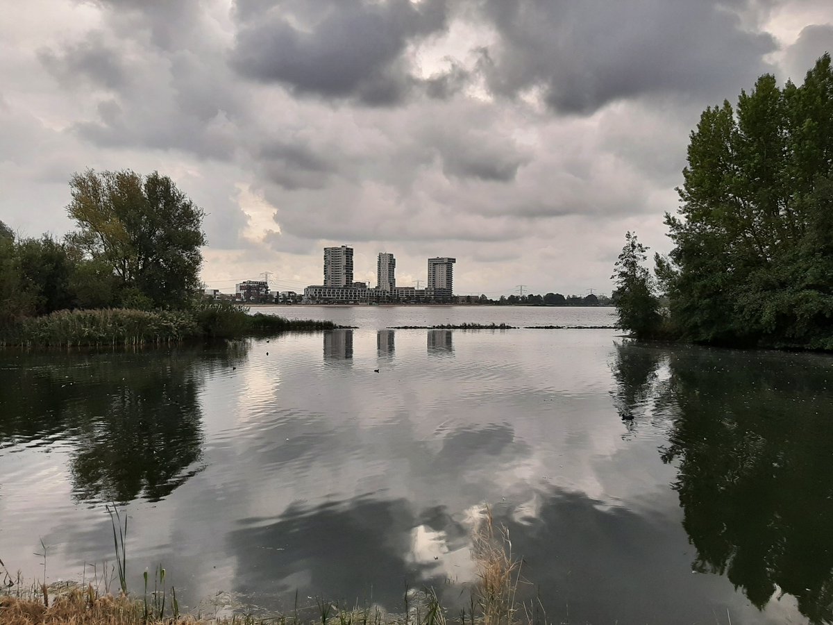 MEKloppenburg's tweet photo. #Zevenhuizerplas . Ik zag iemand op een #foilboard . Zodra er water langs de staart stroomt, komt de plank uit het water. Je moet zelf de snelheid erin houden door squats te maken. Hierdoor stuwt de vleugel zichzelf vooruit. Zijn record is 2 minuten. Fijne maandag! #dockstarten https://t.co/GlnlIQBt9S