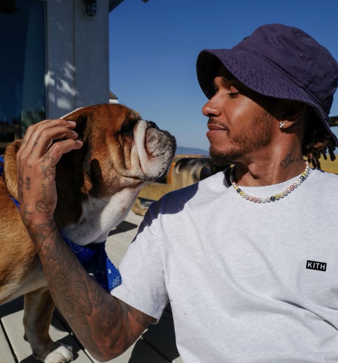 ScuderiaHadjar's tweet photo. Lewis Hamilton on Instagram:

Today marks one year since he lost his beloved dog Roscoe ❤️‍🩹 https://t.co/QIkwXULEYf