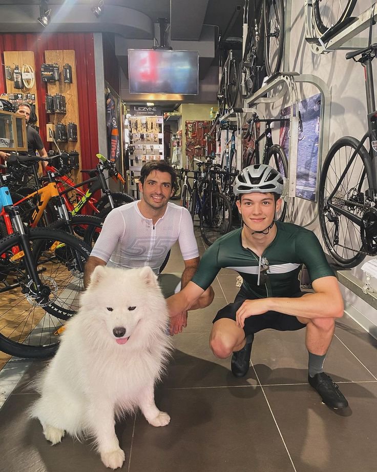 FANBU0Y's tweet photo. "why is ollie there?" he's carlos' grid son, ofc he's invited. people are losing very recent texts on this app 🙂‍↔️ https://t.co/TUk3T2QeuS