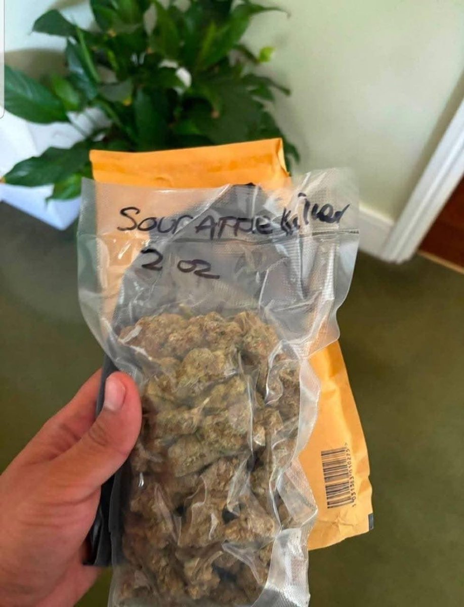 JimBelushiOre's tweet photo. I have a valid reason why I recommend weed to people. Grab a pound for $700. Send a DM bfor our menu https://t.co/wQyIuz2Q2Q