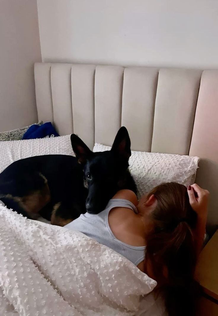 JesseDavoud2md's tweet photo. Had a quiet and naughty fun time with my pet...🤤🐕❣️
HMU for full package 📦💦 
TG:👇 https://t.co/oXCMCzIhB3

#zoophillia #zoosarevalid #beastiality #dogknot #zooprideisvalid #zoophile #antizoophileantizoo #k9girl
#zoopride
#zoophilepride #zoopositivity
#Bestiality https://t.co/CTmVtQyTUU