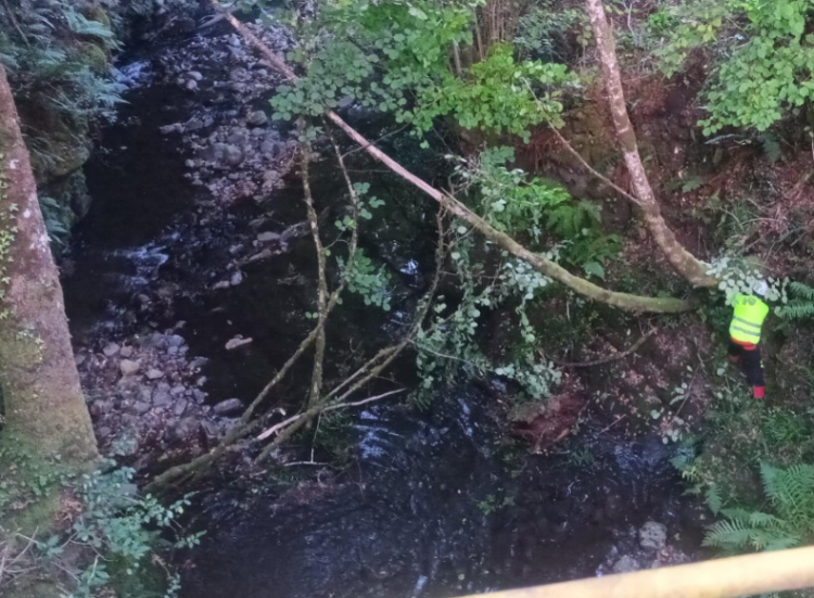 chcantabrico's tweet photo. 📣 La Confederación Hidrográfica del Cantábrico trabaja en la mejora de la capacidad de desagüe en el río Balouta (Murias) y continuará en el río Rao, en el término municipal de Navia de Suarna 

🚧 Las actuaciones incluyen la retirada de acumulaciones de troncos y restos vegetales y labores selectivas sobre la vegetación de ribera, en varios tramos que suman 600 metros, con un presupuesto de 9 000 €

📌 El objetivo es recuperar la capacidad ordinaria del cauce y reducir el riesgo de pequeños desbordamientos en crecidas moderadas. Los trabajos se enmarcan en el programa de conservación y mantenimiento de cauces que el Organismo ejecuta en el ámbito rural

➕ información: https://t.co/UQSfFwYvPk