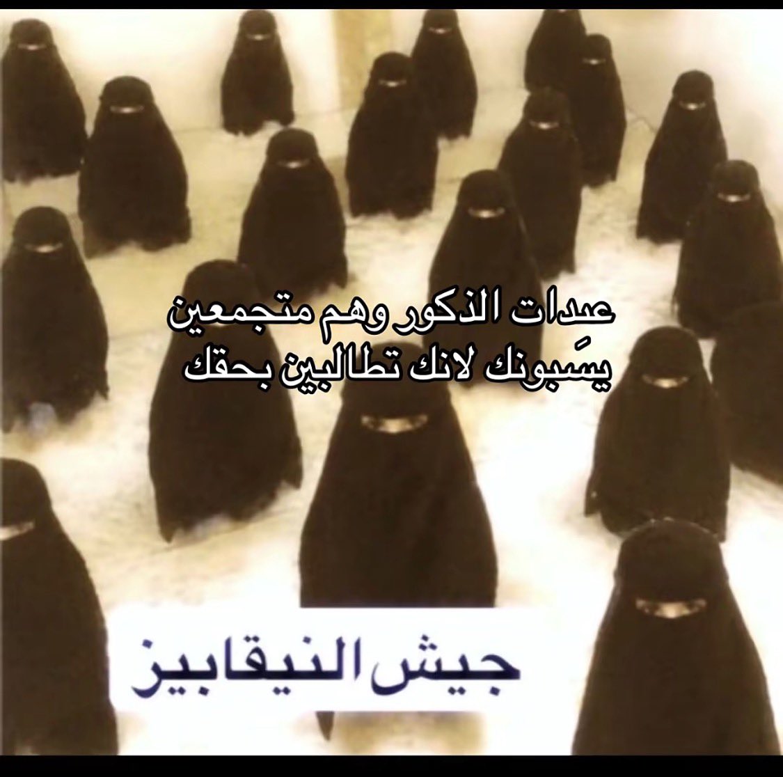 ri74il's tweet photo. #_بلا_ #٢٠٣٠_بلا_نقاب 
جيش نيقابيز عبدات الذكور وهم جايين يهاجموننا على كل تغريده https://t.co/97iQl8Xxf4