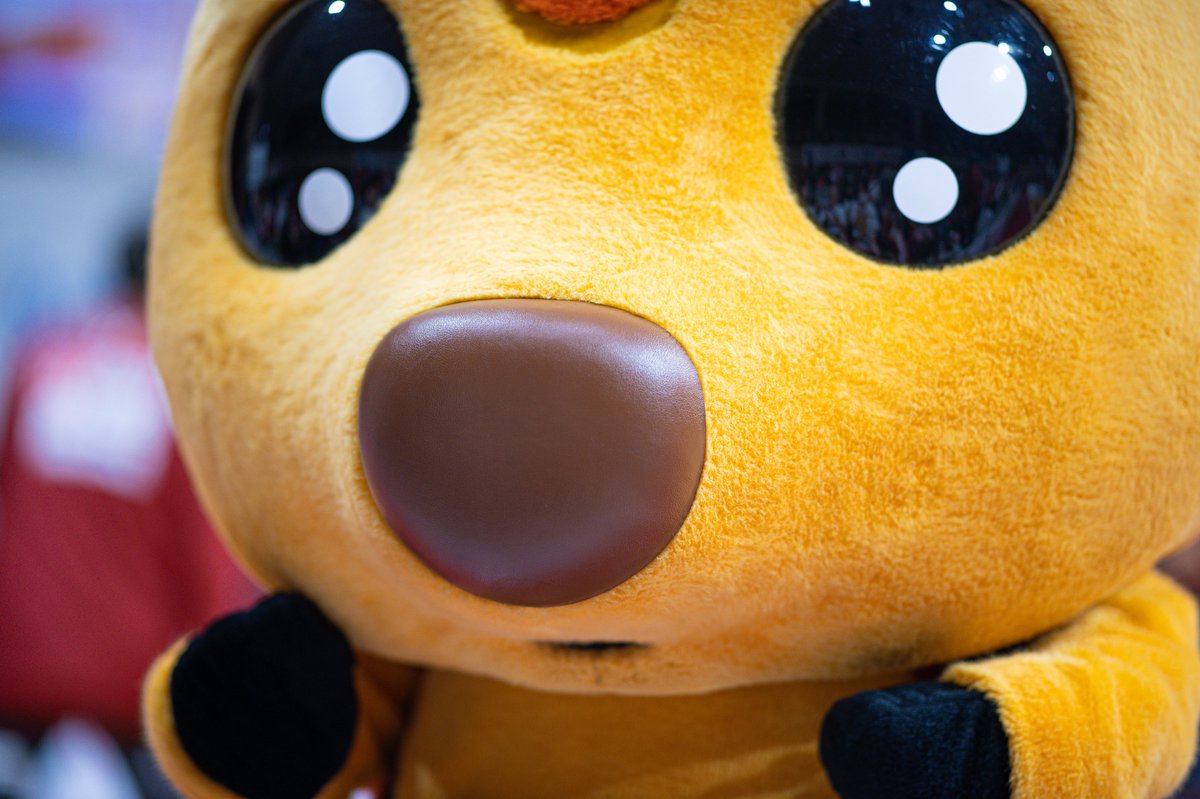 _hrxx29_'s tweet photo. コート周りお散歩中のシカッチェをわたしのレンズで撮るとどうしても画面いっっっぱいになってしまうんですが、これはこれでとっても可愛いのでつい撮ってしまうのです🦌💛 https://t.co/fn2vQ3tnvV