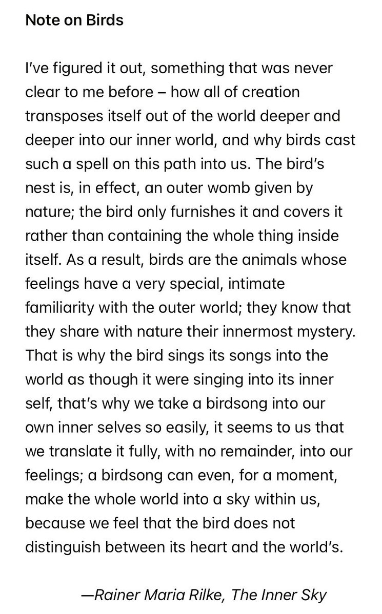 jakkybeefive's tweet photo. Oh Rilke.🥹 https://t.co/jYqHQwAgyf