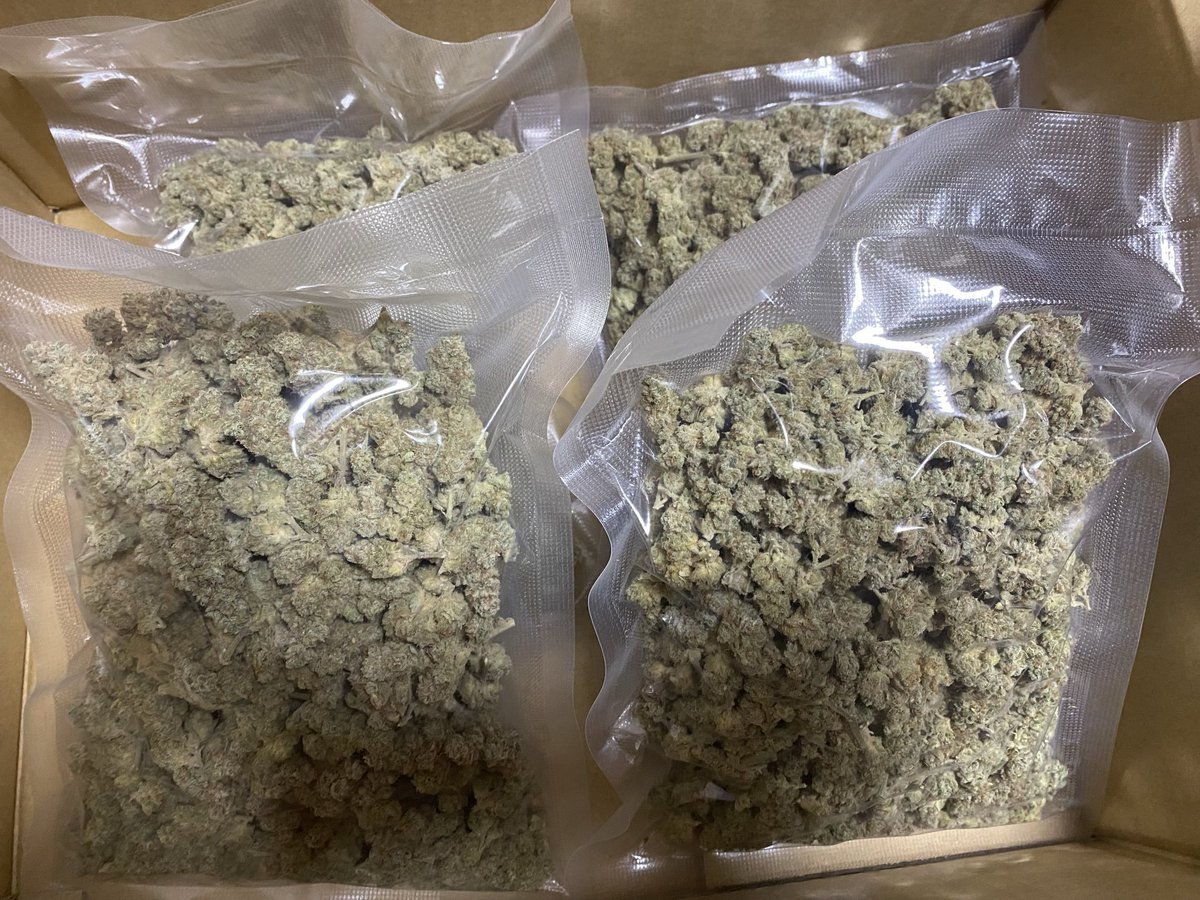 JimBelushiOre's tweet photo. I appreciate byour effort for choosing me and my team to make your order. Keep the trust and we will never fail you. https://t.co/P1dx8FMUuz