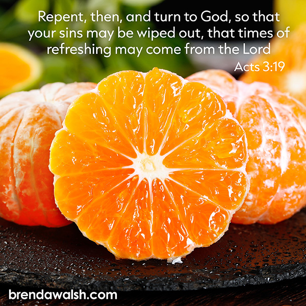 brendakwalsh's tweet photo. No matter your past, God offers a fresh start and a clean slate. Turn to Him today and let His grace bring true refreshing to your soul! 🍊✨
https://t.co/OE22kU4lQk
#FreshStart #Acts319 #TimesOfRefreshing #GraceAndMercy #ChristianInspiration #VerseoftheDay #BibleVerse #Fresh https://t.co/a3j80ocRwl
