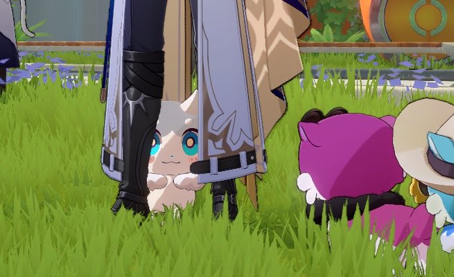khaslanas_sun's tweet photo. Vigethos is a little shy https://t.co/b2GYWg45ch