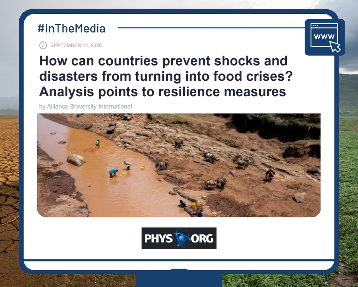 BiovIntCIAT_eng's tweet photo. 📰 #InTheMedia | 🌍🍽️ Do disasters always have to lead to food crises?
In @physorg_com, Chris Béné shares insights from new research showing that food crises are not inevitable and that resilience can help reduce the impacts of shocks and disasters. 💡
👉 https://t.co/mKNOZGpcbu https://t.co/JNFCI1xghU