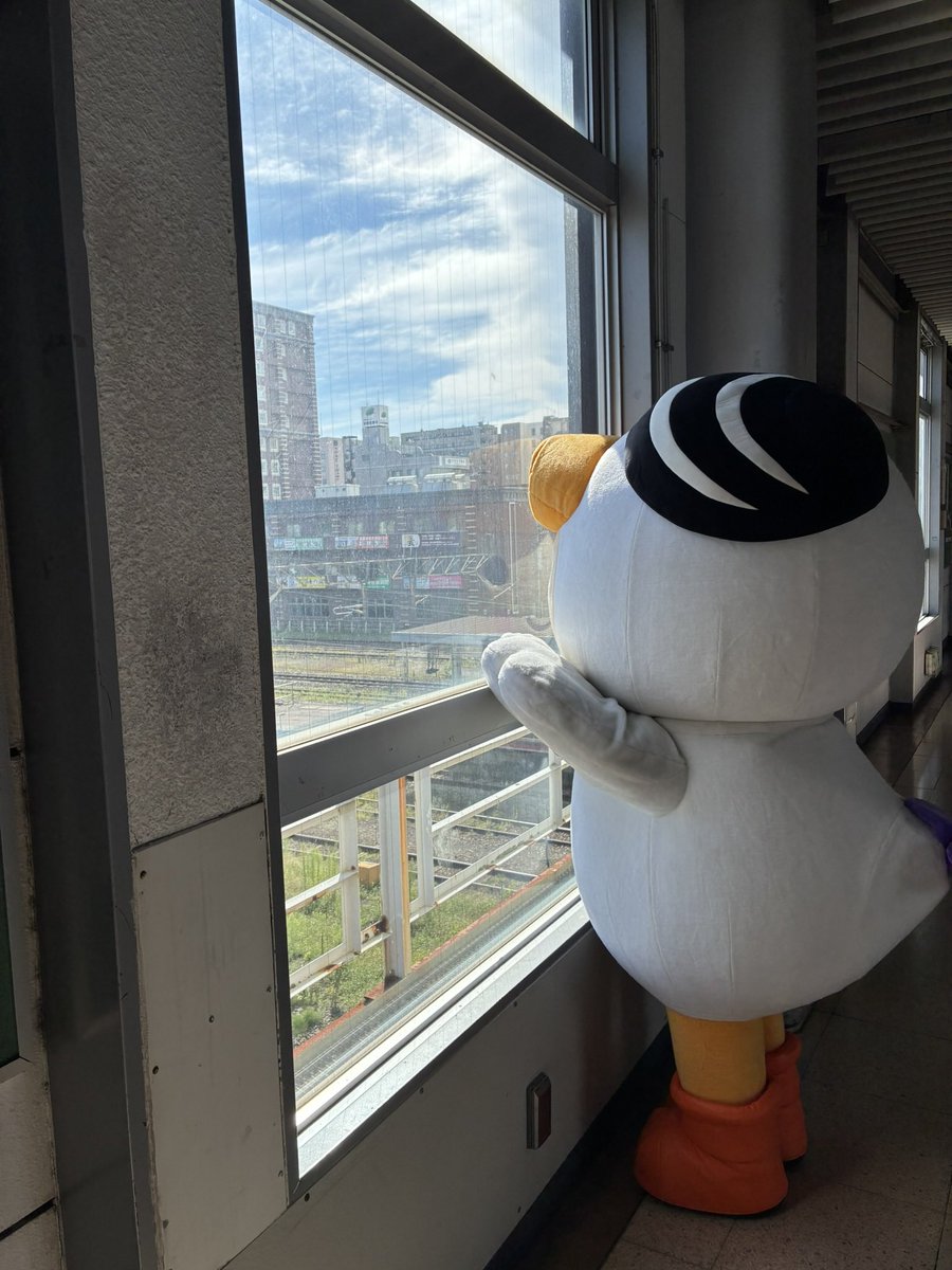 tomachop_822's tweet photo. すんでいるちいきや、すきなものを、たくさんPRしようとがんばるキャラしゃんたちが、きずついたり、かなしいおもいをすることなく、いつまでもげんきにかつどうしてくれることを、いのっています！ https://t.co/FiuZgnznJw