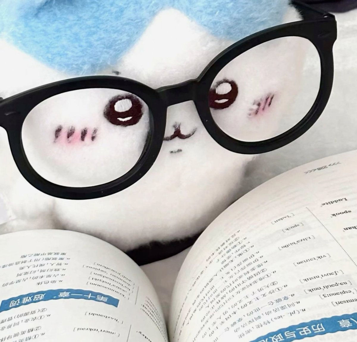 ___aomyz's tweet photo. 威尊めっちゃおうちでゆっくりしてて嬉しすぎ😙 https://t.co/GzHsqfd8vM