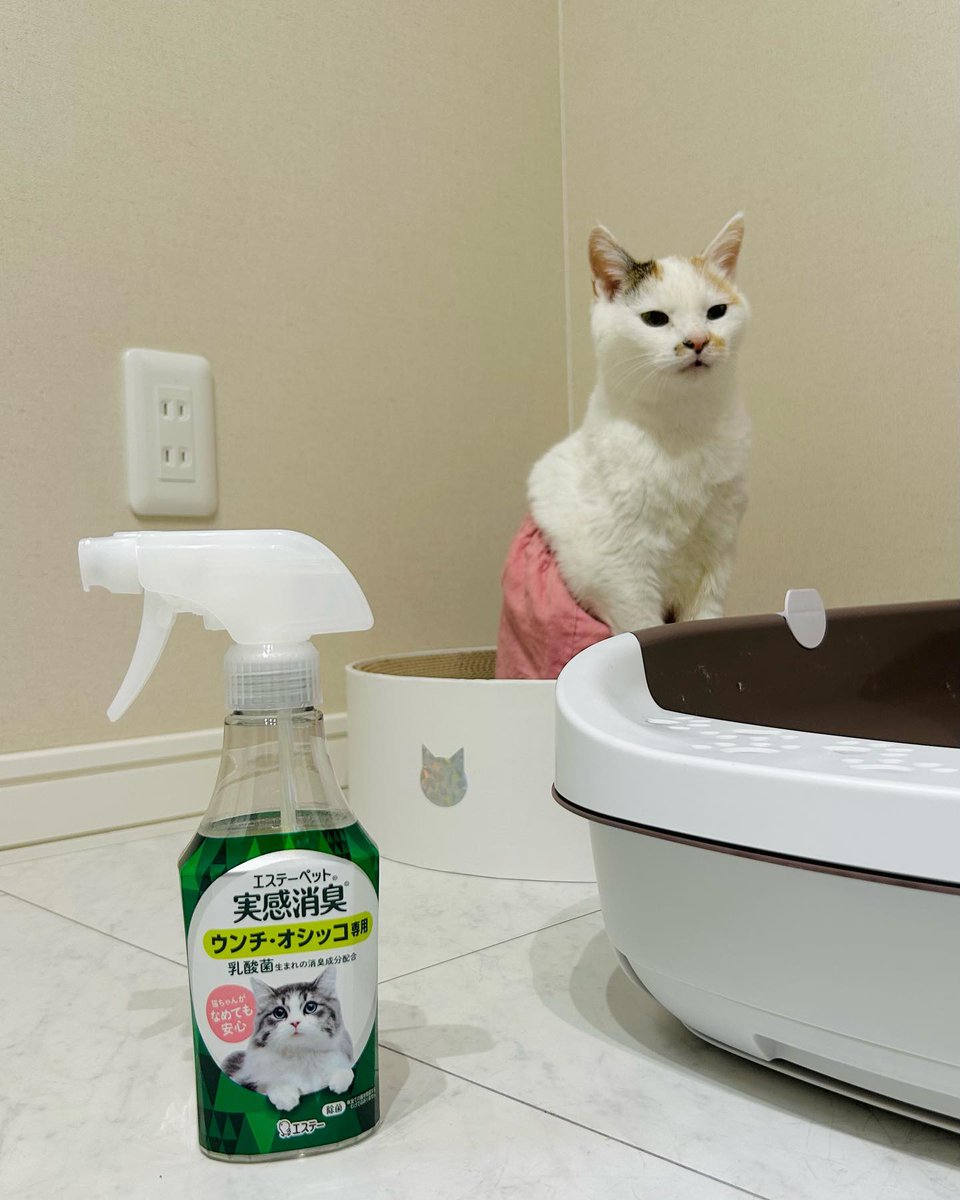 BrunoStonekioi's tweet photo. 何気ない一瞬の感情をうまく言葉にできないままでいる https://t.co/C2ZUmSS0xz