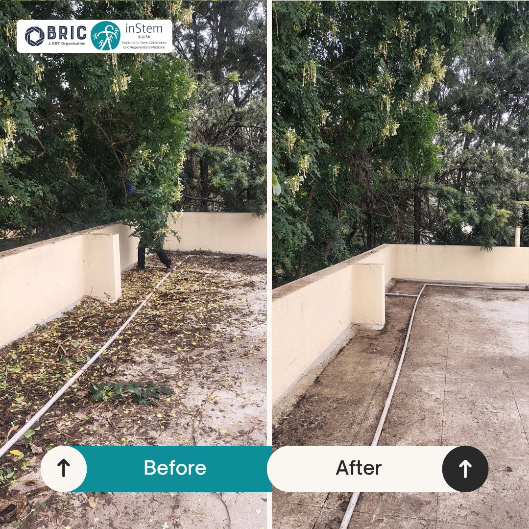 DBT_inStem's tweet photo. 🌿 BRIC-inStem joins Swachhata Hi Seva 2026

BRIC-inStem actively participated in the Swachhata Hi Seva 2026 Campaign, reinforcing the importance of cleanliness, community participation and a healthier environment.

🧹 Cleaning activities undertaken as part of the campaign
🏥 Cleanliness drive at Kodigehalli Public Health Centre (PHC)

Through collective action and community engagement, BRIC-inStem continues to contribute towards cleaner surroundings and a healthier society.

Swachhata is a shared responsibility. 

Together, let us keep our surroundings clean and green.

#SwachhataHiSeva2026 #SHS2026 #BRICinStem #inStem #Swachhata #CleanIndia #SwachhBharat #CommunityEngagement