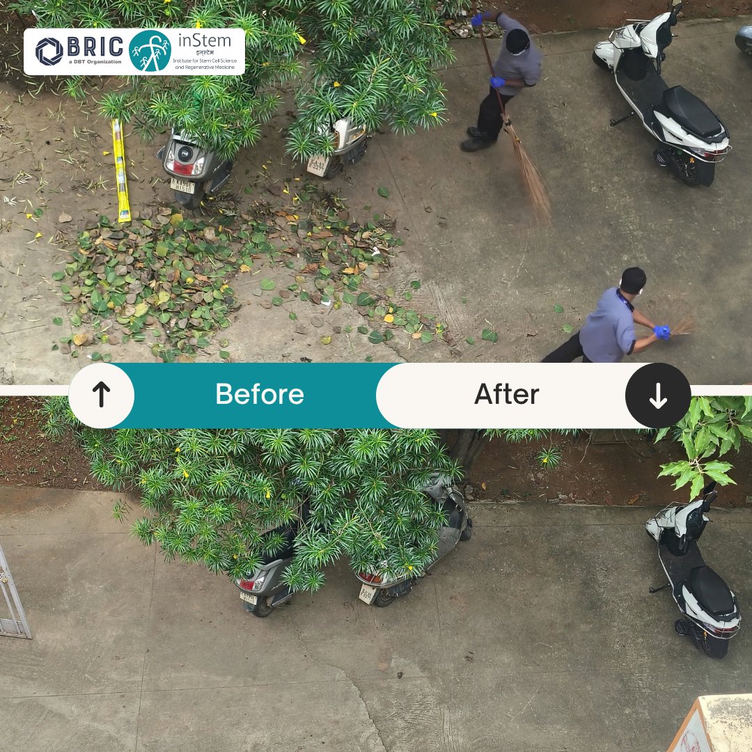 DBT_inStem's tweet photo. 🌿 BRIC-inStem joins Swachhata Hi Seva 2026

BRIC-inStem actively participated in the Swachhata Hi Seva 2026 Campaign, reinforcing the importance of cleanliness, community participation and a healthier environment.

🧹 Cleaning activities undertaken as part of the campaign
🏥 Cleanliness drive at Kodigehalli Public Health Centre (PHC)

Through collective action and community engagement, BRIC-inStem continues to contribute towards cleaner surroundings and a healthier society.

Swachhata is a shared responsibility. 

Together, let us keep our surroundings clean and green.

#SwachhataHiSeva2026 #SHS2026 #BRICinStem #inStem #Swachhata #CleanIndia #SwachhBharat #CommunityEngagement